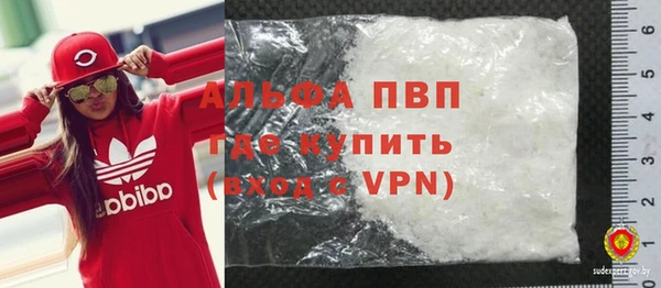 шишки Мегион