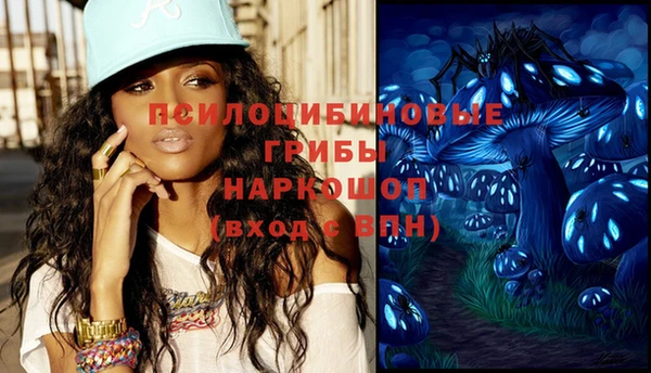 шишки Мегион