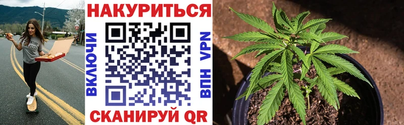 Бошки Шишки семена  Таштагол 